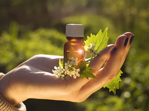 El Jardín del Bienestar – Un Viaje por las Terapias Florales