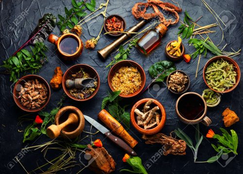 Medicina Herbal